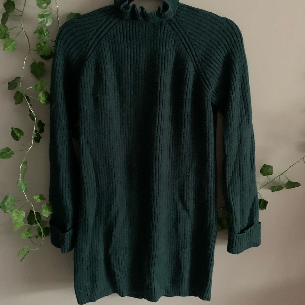 Tularosa emerald sweater dress